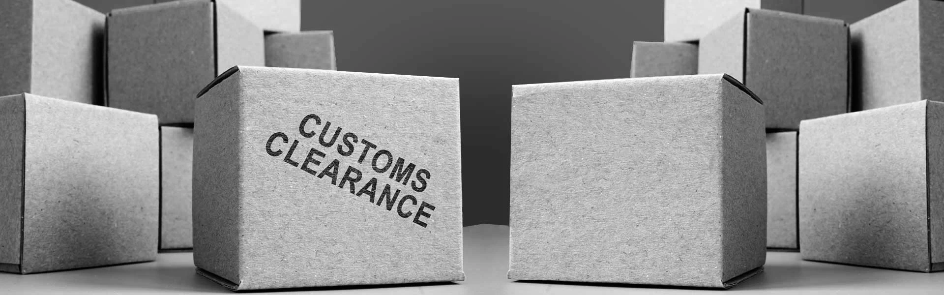 Customs Clearance Services